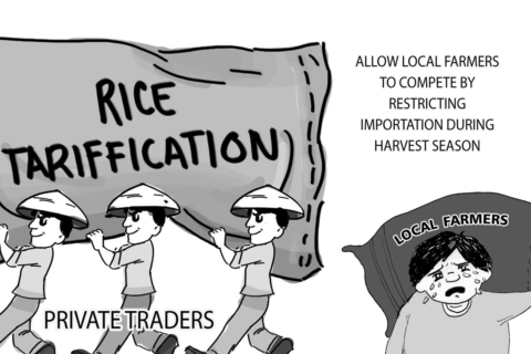 Rice tariffication