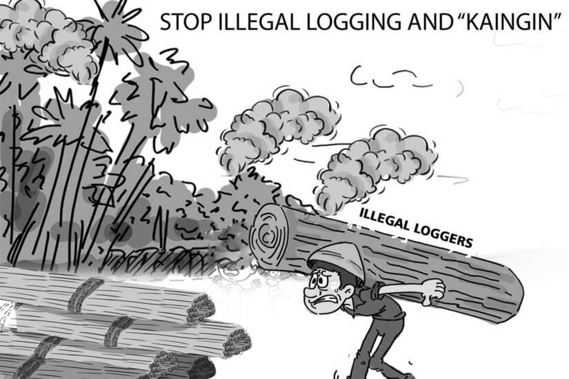 Illegal Loggers