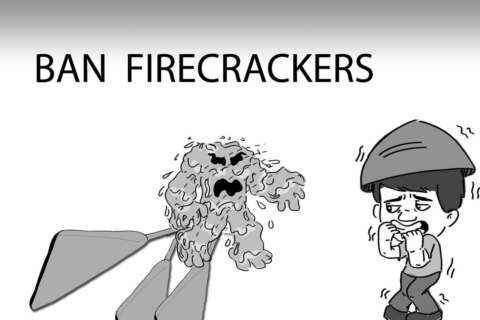 Ban firecrackers