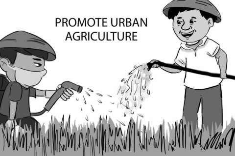 Urban agriculture