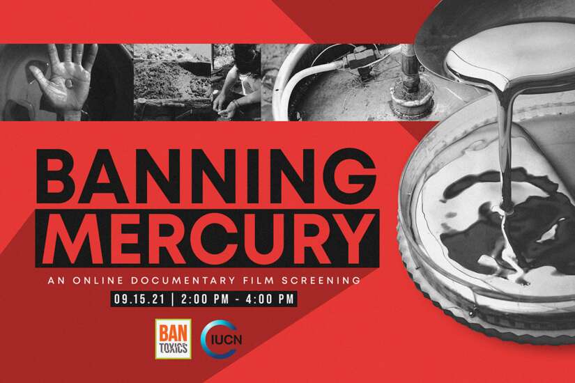 Banning Mercury - BAN Toxics