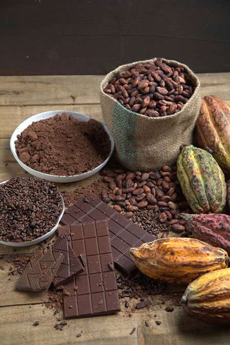 Philippine Cacao