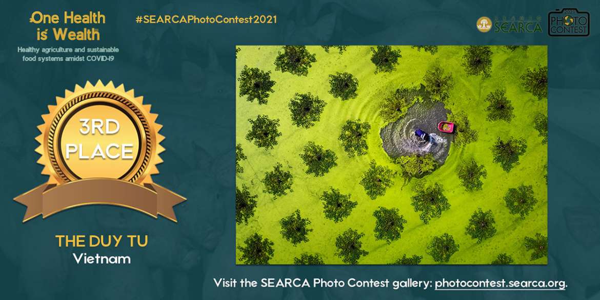 Searca Photo Contest 2021 3rd Place