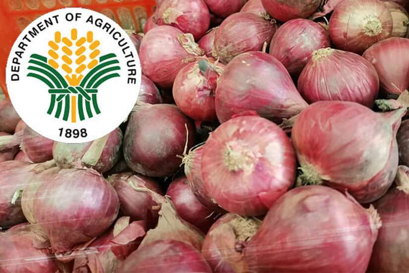 DA Onion Import