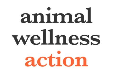 Animal Wellness Action