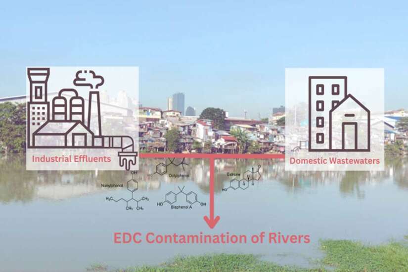 EDC Contaminants
