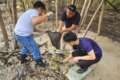 Aboitiz Renewables mangrove planting and cleanup drive