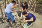 Aboitiz Renewables mangrove planting and cleanup drive